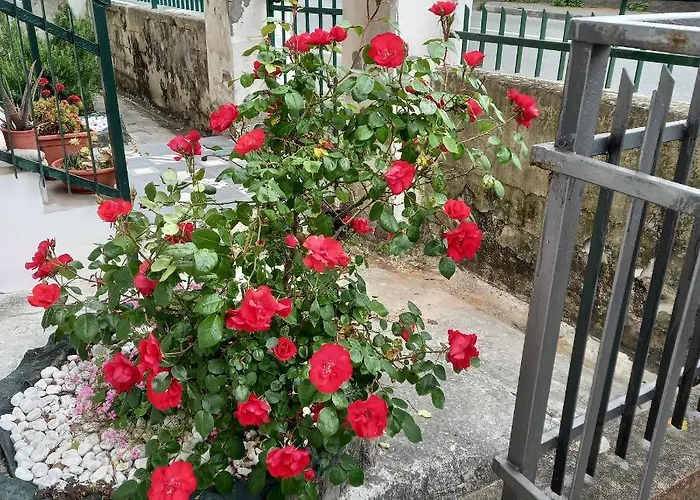 Fronte Cavi di Lavagna