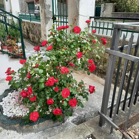 Fronte Cavi di Lavagna